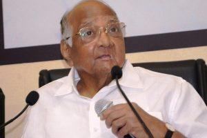 Sharad Pawar steps down as NCP chief_4.1