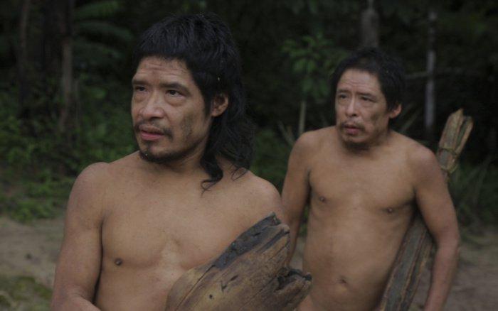 The Resilience of the Piripkura Tribe: Last Survivors Found Deep within the Amazon Rainforest
