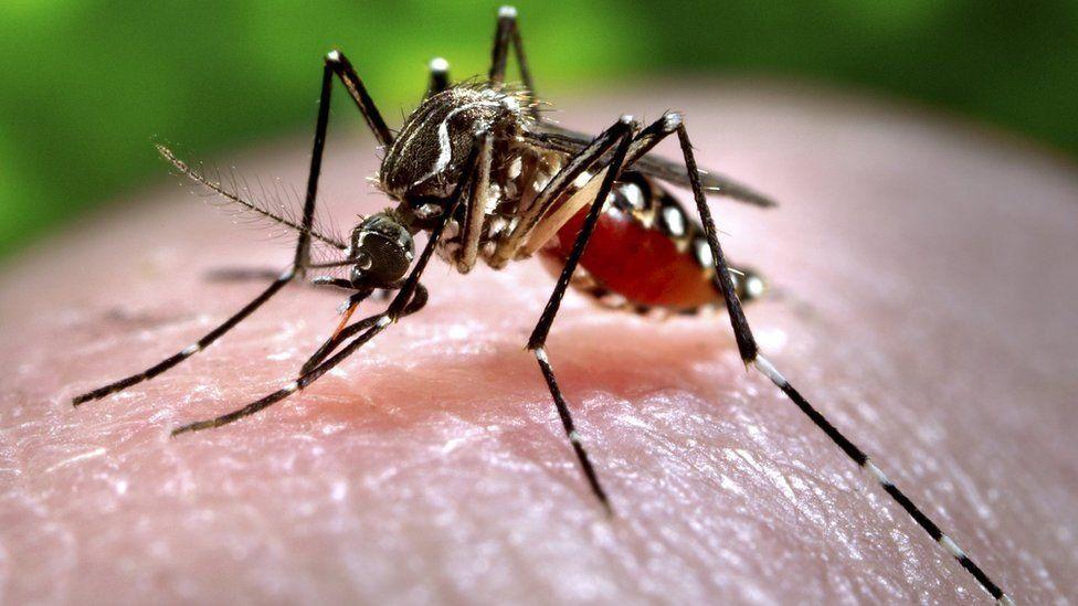 Why Zika Virus in news?