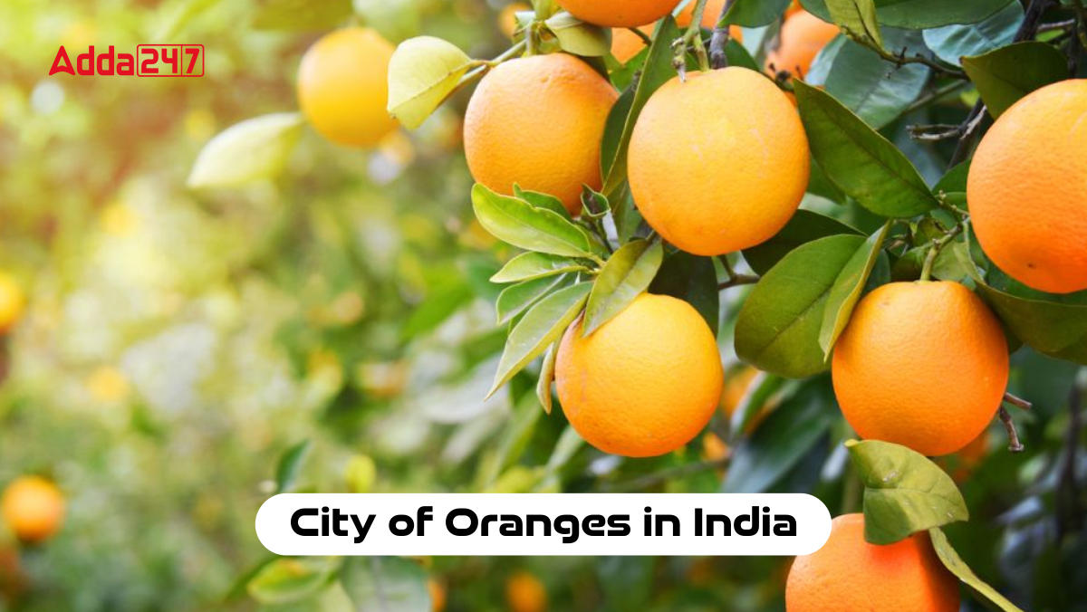 City of Oranges in India
