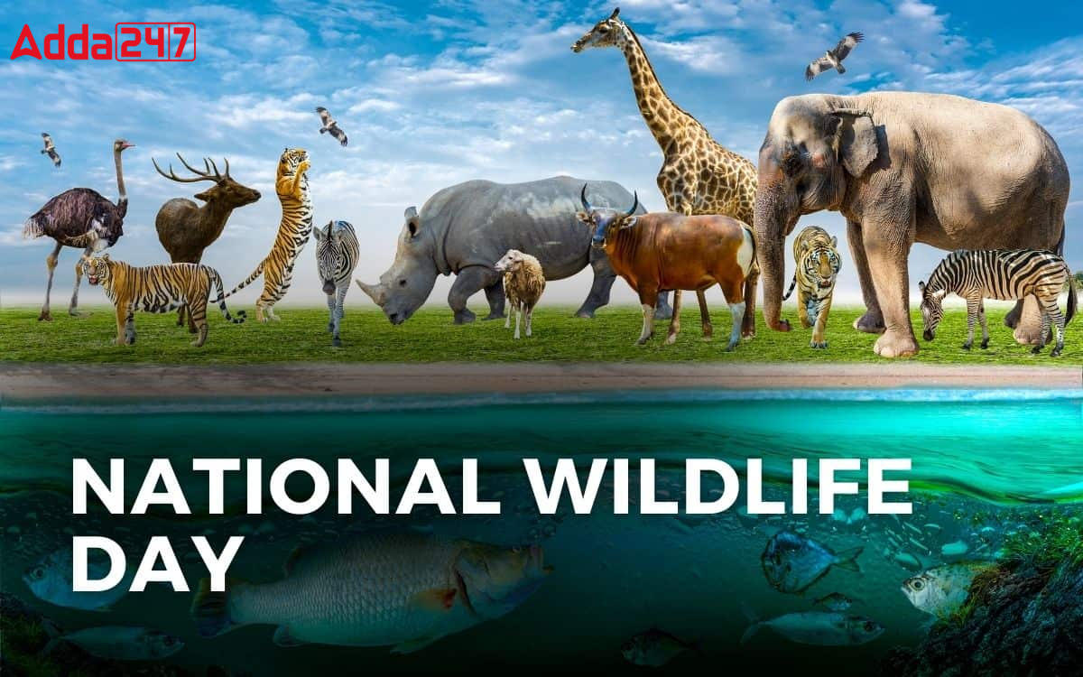 National Wildlife Week 2023