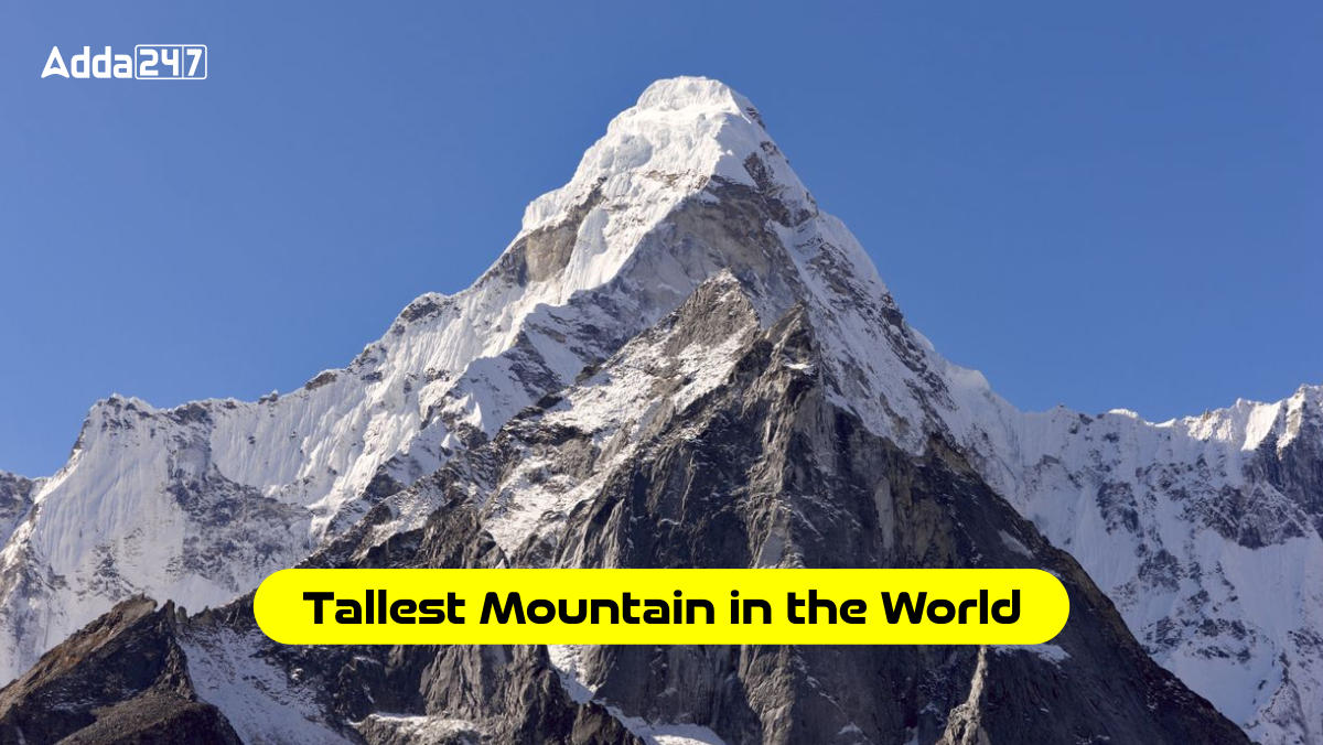 Tallest Mountain in the World