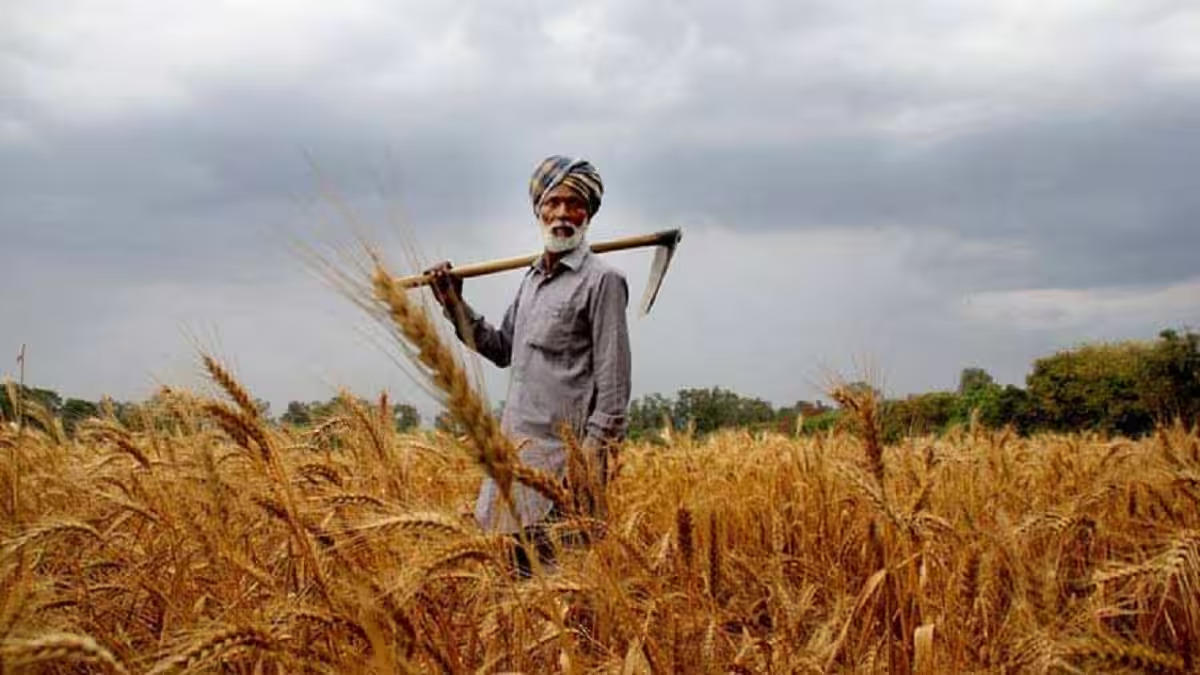 Increase in Minimum Support Prices (MSP) for Rabi Crops in 2024-25
