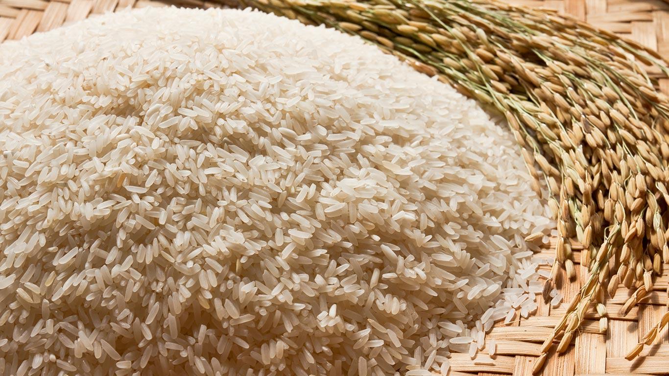 Indian Government Grants Approval for Non-Basmati Rice Exports