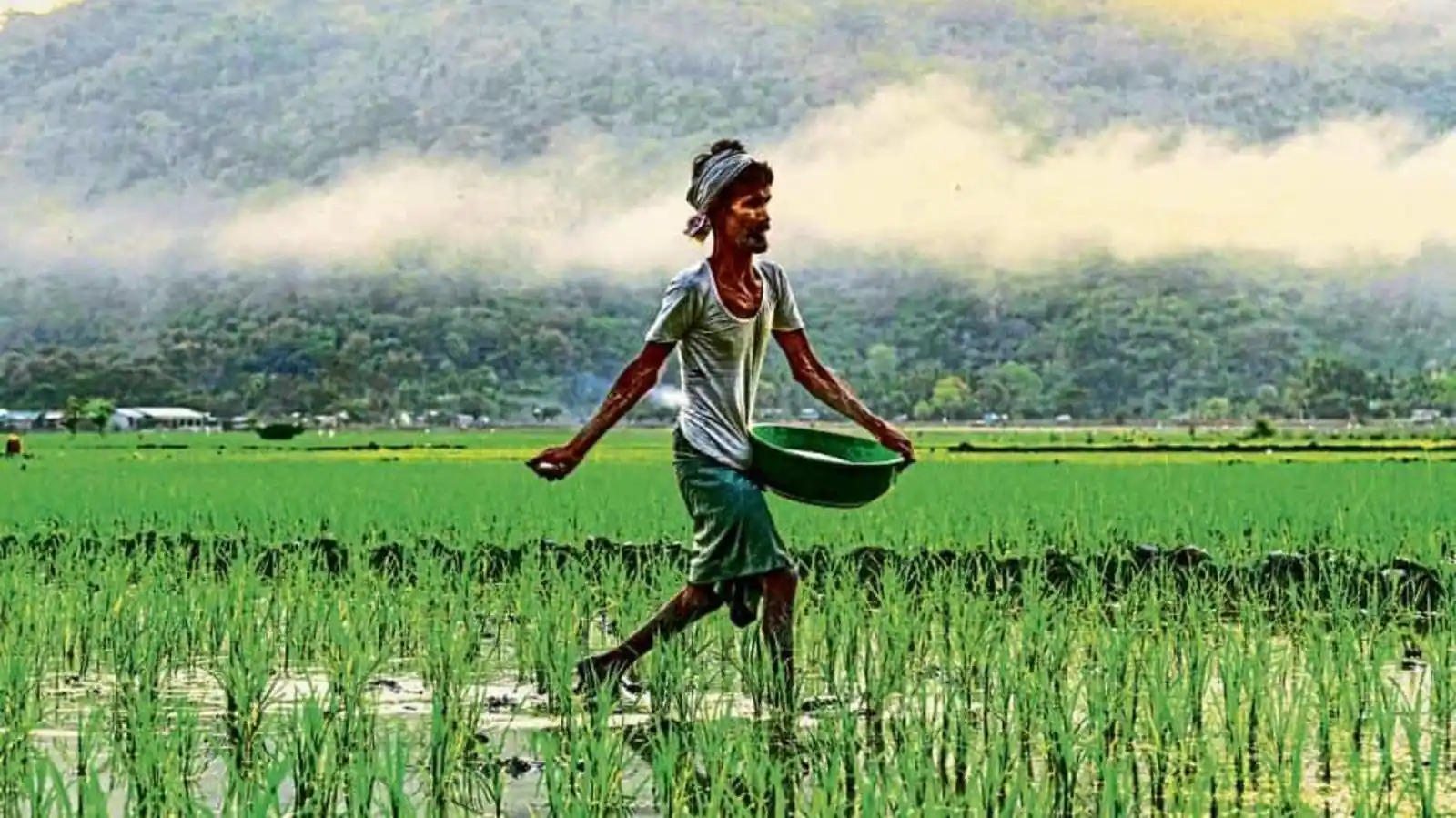 Centre approves 22,303 Crore ₹subsidy on Key fertilizers
