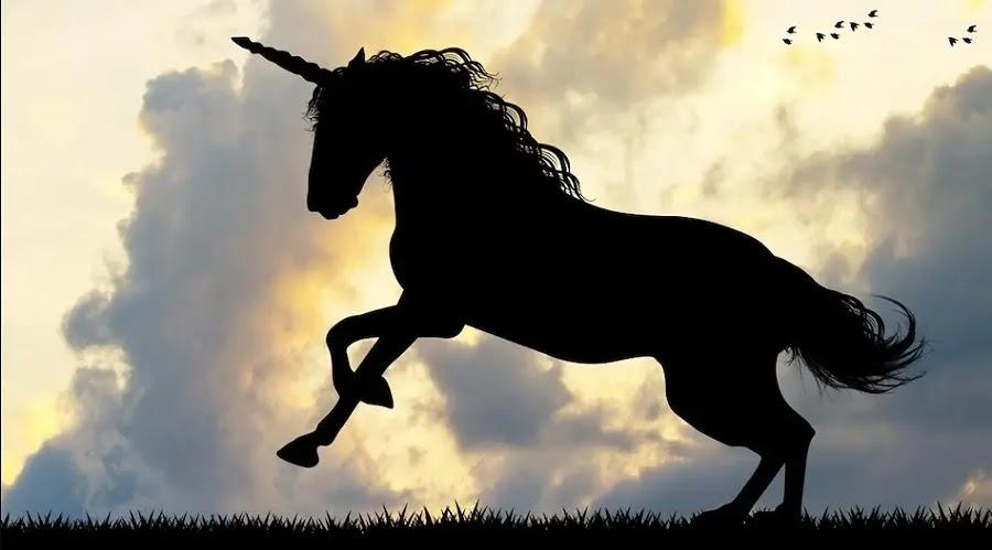India Ranks Third In Fintech Unicorns, With United States At The Top