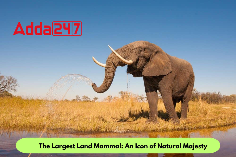 The Largest Land Mammal: An Icon of Natural Majesty