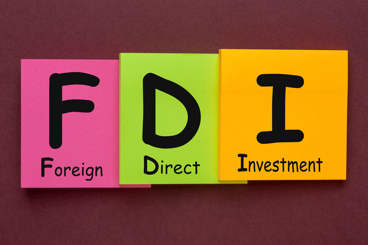 Foreign Direct Investment in India Witnesses a 24% Contraction in H1 FY24
