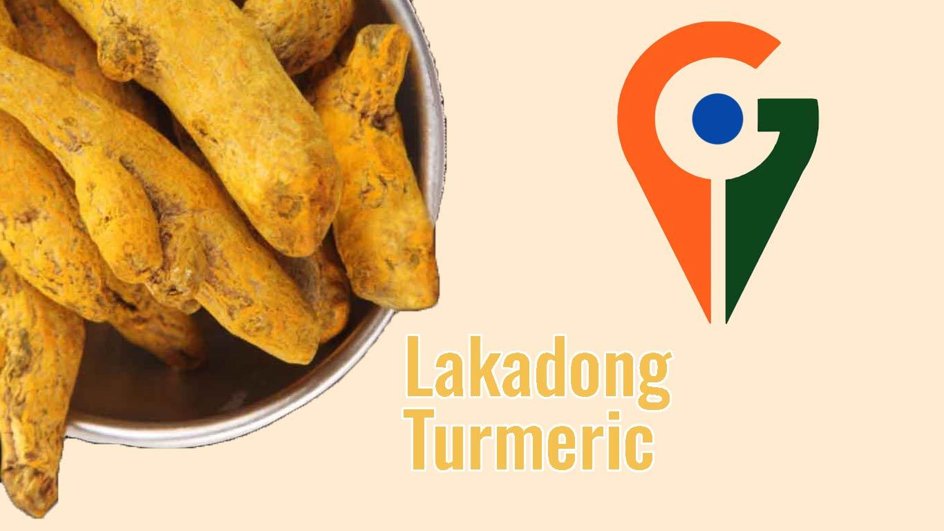 Meghalaya's Lakadong Turmeric and Other Products Awarded Geographical Indication (GI) Tag