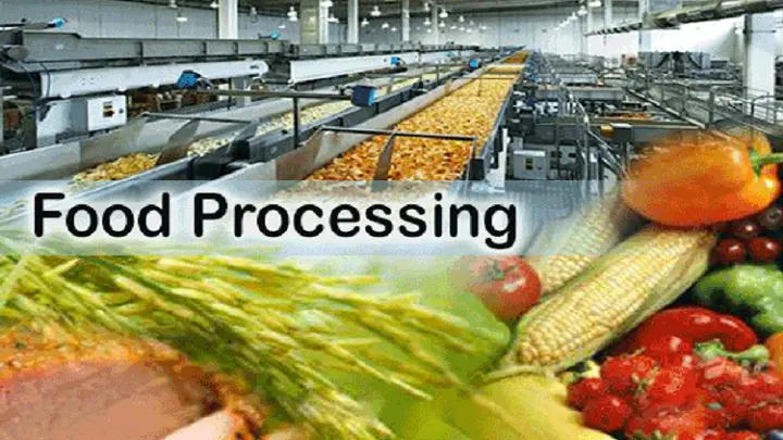 Food Processing Industry Thrives with ₹7,000 Crore Investment Under PLI Scheme