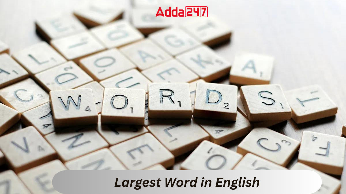 Largest Word in English