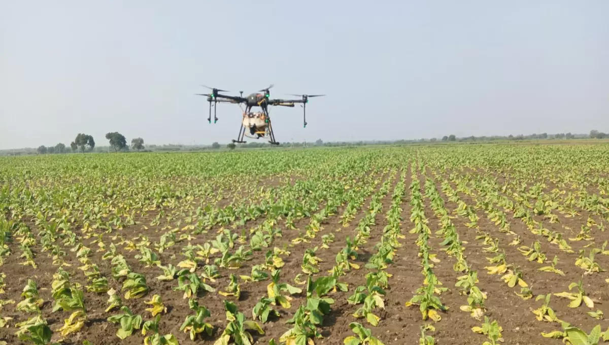 ITC Collaborates with Microsoft and Skymet to Shield Tobacco Farmers from Climate Challenges