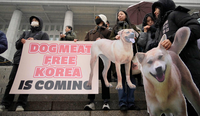 South Korea Bans Trade Of Dog Meat In New Law