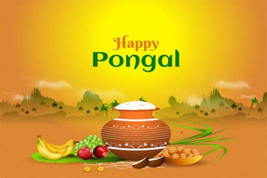 Pongal 2024: Date, Significance, Rituals and Celebrations