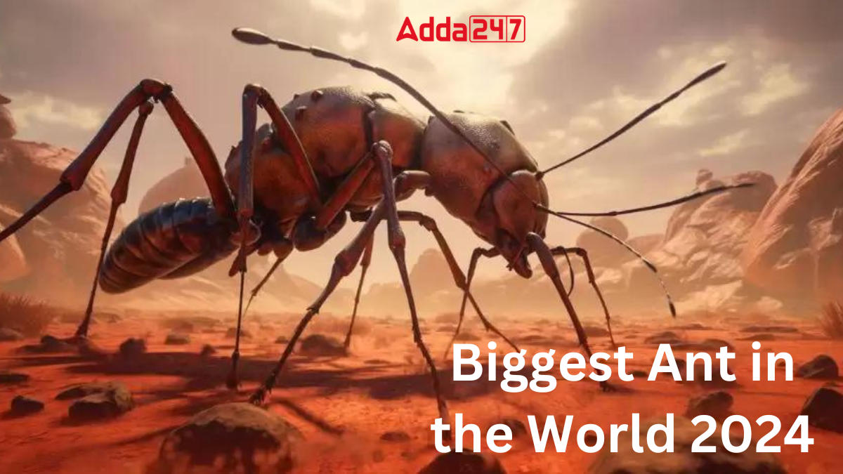Biggest Ant in the World 2024
