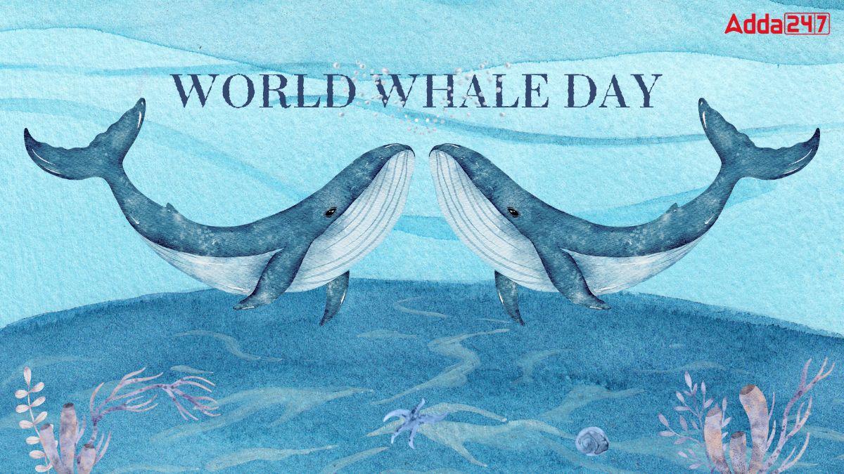 World Whale Day 2024, A Beacon of Hope for Marine Conservation