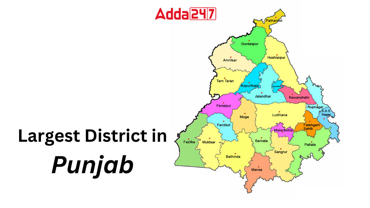 Largest District in Punjab