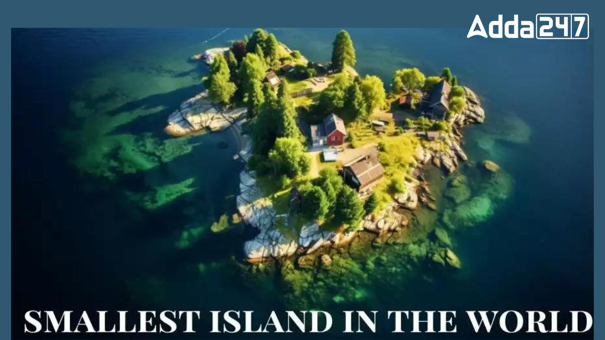 Smallest Island in the World