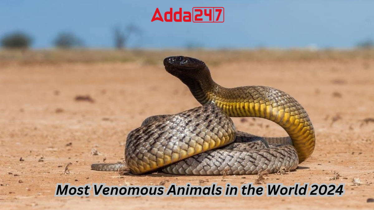 Most Venomous Animals in the World 2024