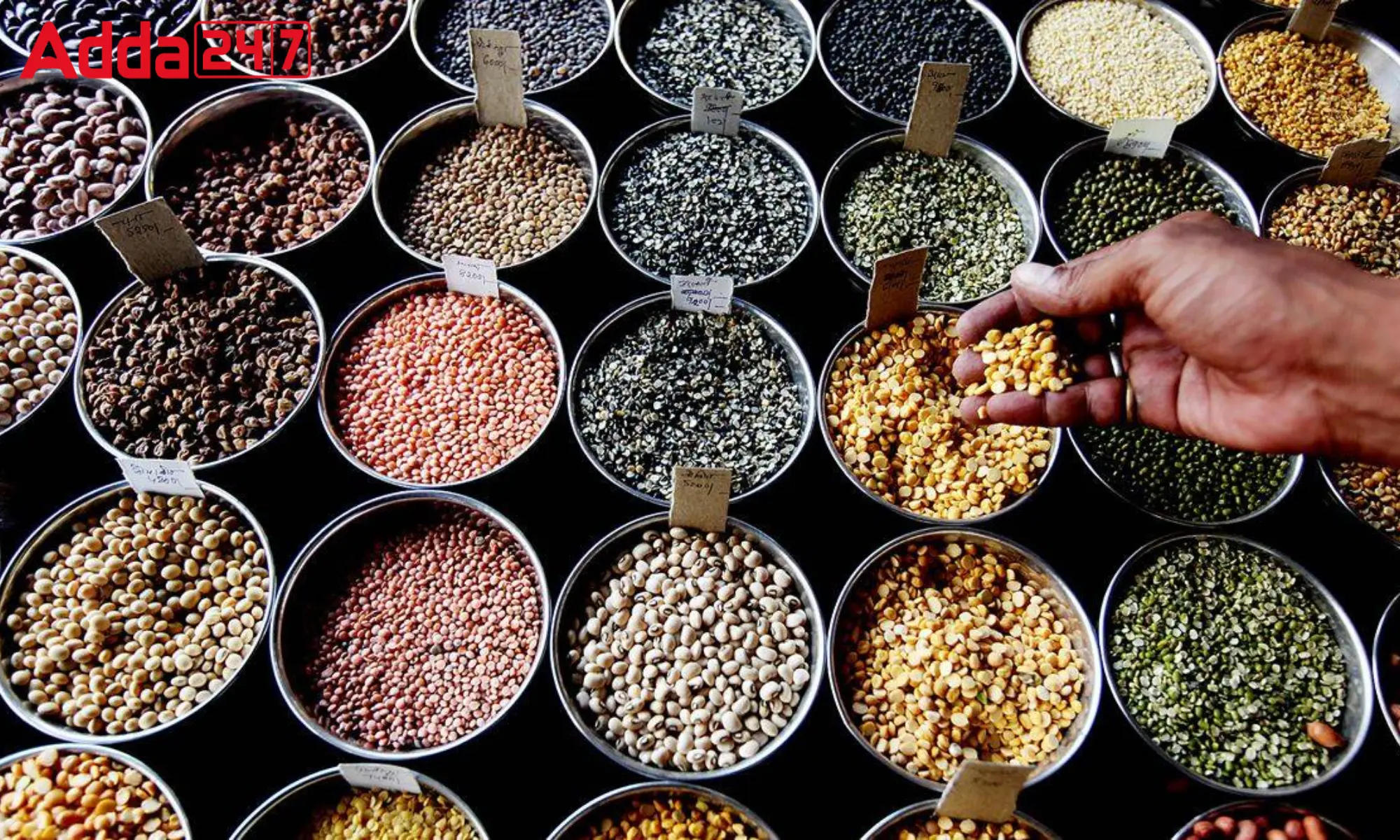 Index Numbers of Wholesale Price in India for February 2024