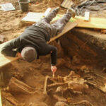 Over 1500 Skeletons Discovered At Construction Site in Germany’s Nuremberg