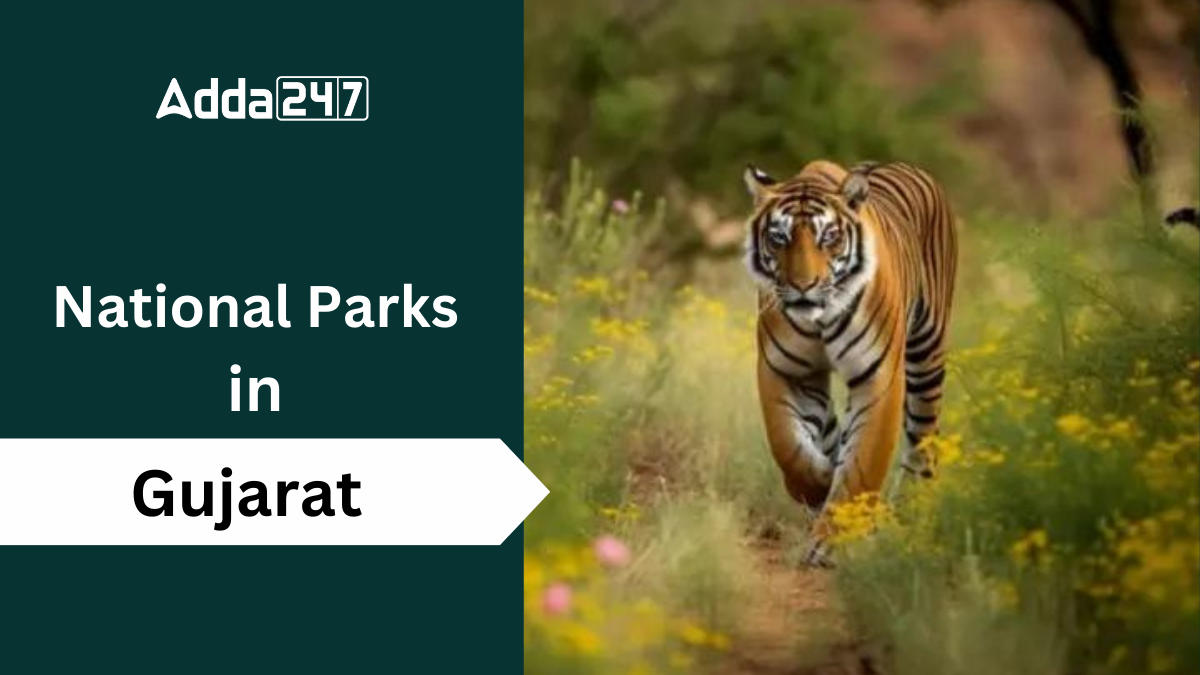 National Parks in Gujarat