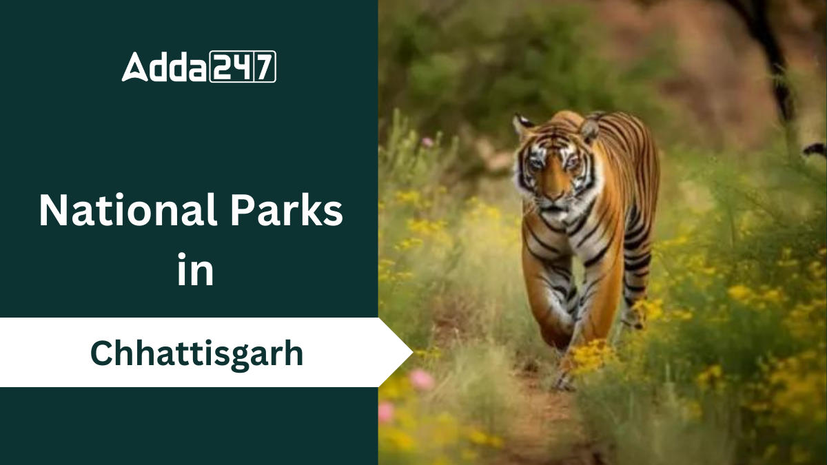 National Parks in Chhattisgarh