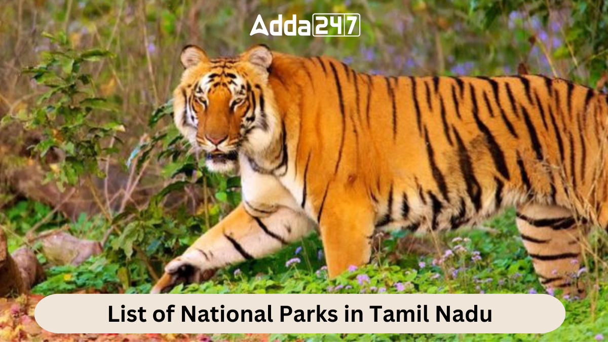 List of National Parks in Tamil Nadu