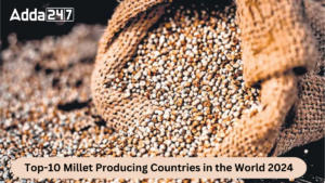 Top-10 Millet Producing Countries in the World 2024