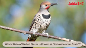 Which State of United States is Known as Yellowhammer State