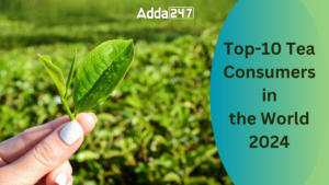 Top-10 Tea Consumers in the World 2024
