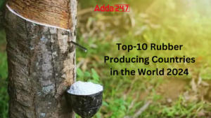 Top-10 Rubber Producing Countries in the World 2024