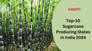 Top-10 Sugarcane Producing States in India 2024