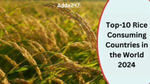 Top-10 Rice Consuming Countries in the World 2024