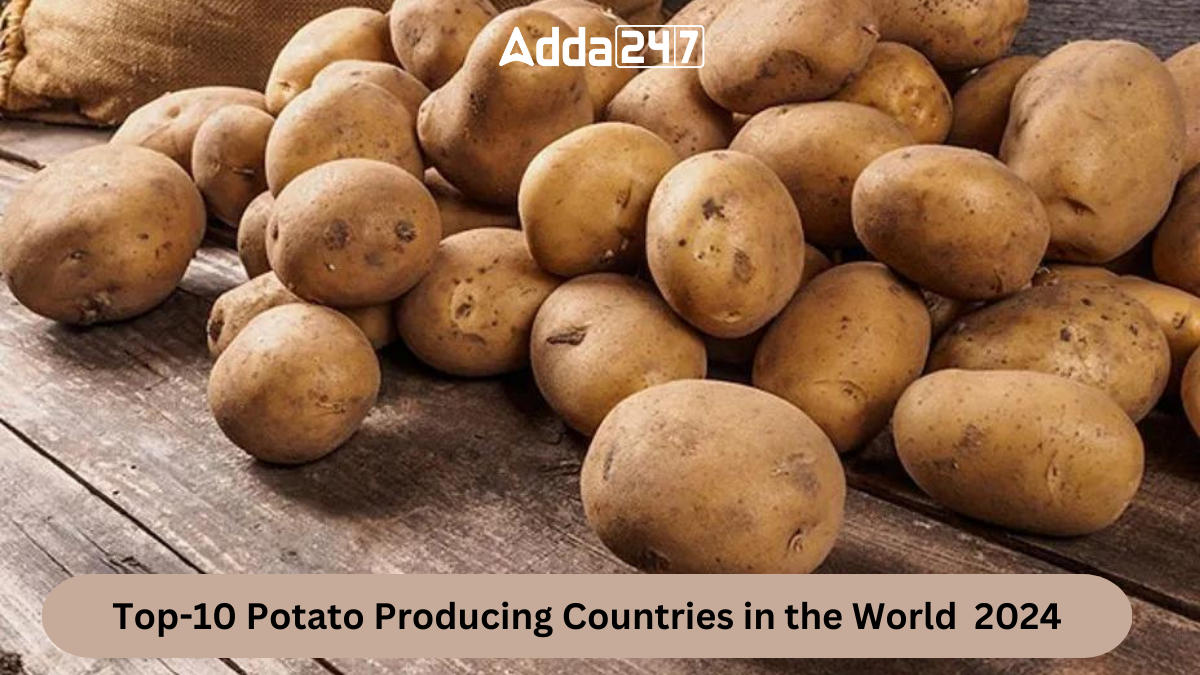 Top-10 Potato Producing Countries in the World 2024