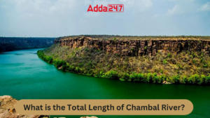 What is the Total Length of Chambal River?