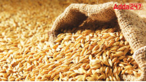 Top-10 Barley Consuming Countries in the World 2024