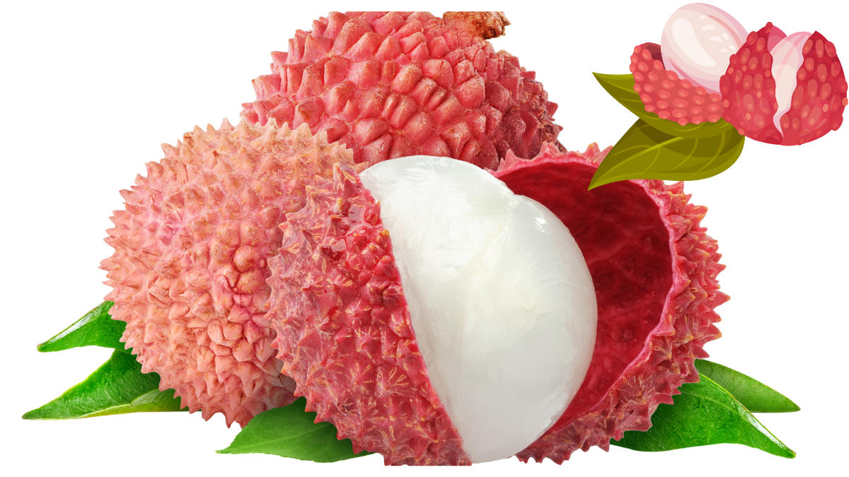 most litchi producing country in the world