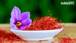 Most Saffron Producing Country in the World