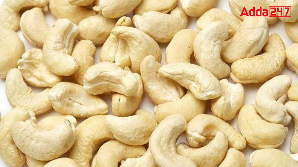 Top-10 Cashew Producing States in India