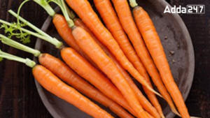 Largest Carrot Producing State in India