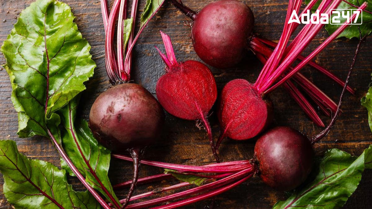Largest Beetroot Producing State in India