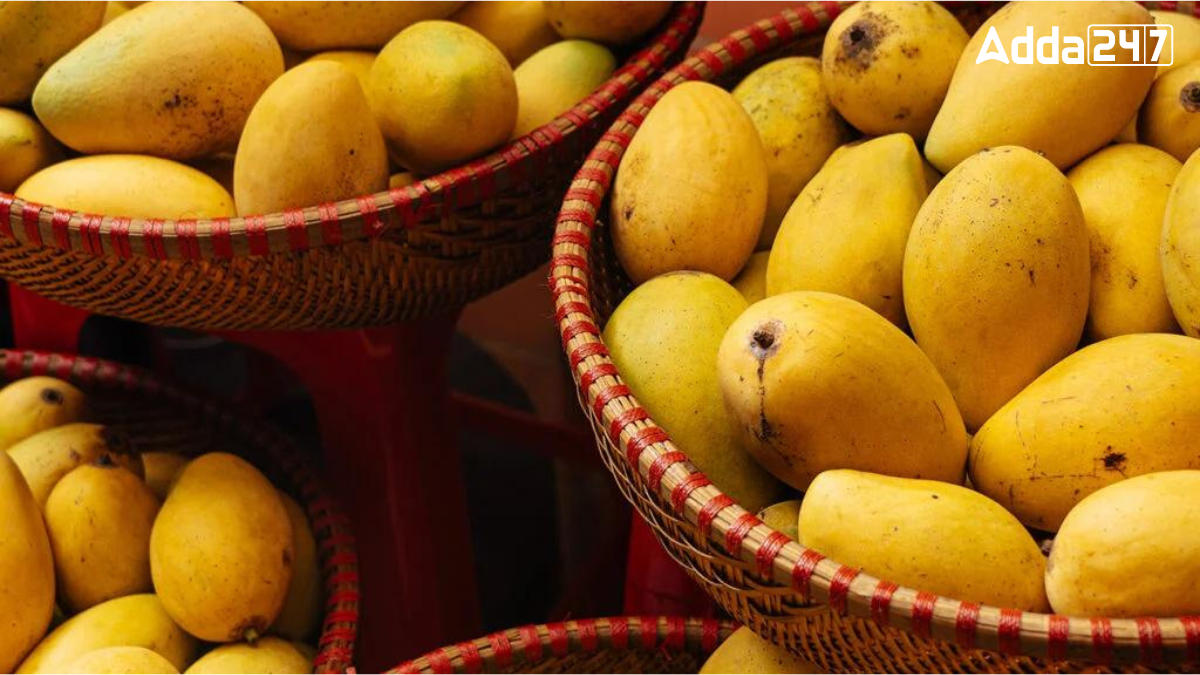 Most Mango Exporting Country in the World