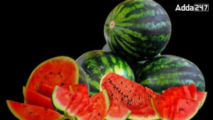Most Watermelon Exporting Country in the World
