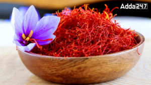 Top-10 Saffron Producing Countries in the World