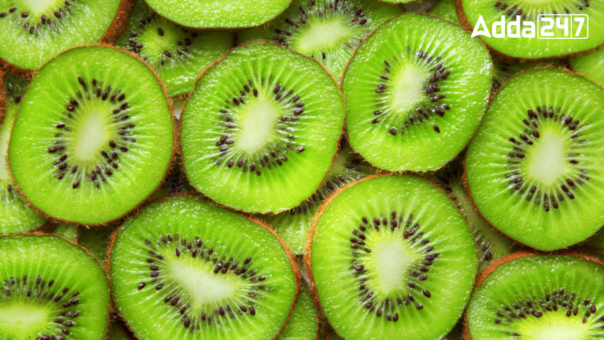 Most Kiwi Exporting Country in the World