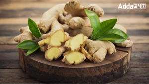 Largest Ginger Producing State in India