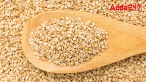 Top-10 Sesame Producing Countries in the World