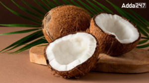 Most Coconut Exporting Country in the World
