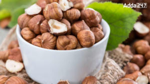 Top-10 Hazelnuts Producing Countries in the World